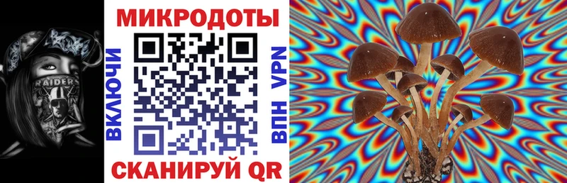 Псилоцибиновые грибы мицелий  Нефтеюганск 