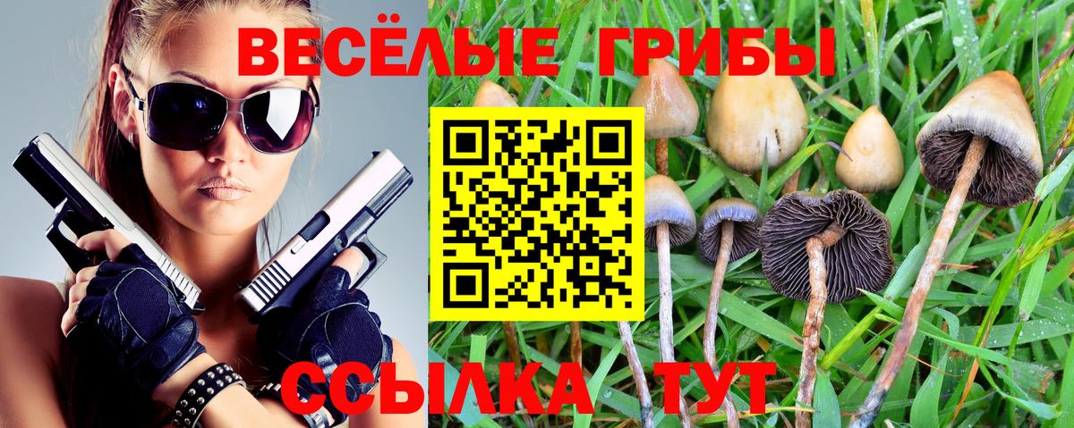 закладка  Псилоцибиновые грибы ЛСД  Нефтеюганск  Вход с VPN  Псилоцибиновые грибы Cubensis 