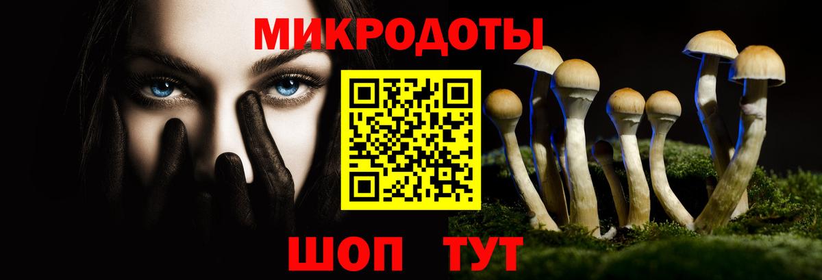 Галлюциногенные грибы Psilocybe  Нефтеюганск 