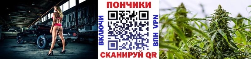 Бошки Шишки план  купить закладку  Нефтеюганск 